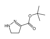 tert-butyl 4,5-dihydro-1H-pyrazole-3-carboxylate结构式