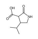 4-isopropyl-2-oxo-pyrrolidine-3-carboxylic acid Structure