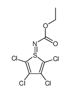 N-ethoxycarbonyl-(2,3,4,5-tetrachloro-1-thiophenio)amide Structure
