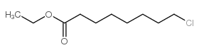 Octanoic acid,8-chloro-, ethyl ester picture