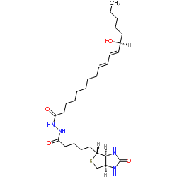 13(S)-HODE-biotin structure