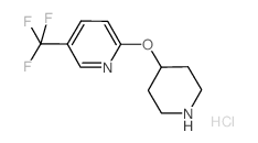 2-piperidin-4-yloxy-5-(trifluoromethyl)pyridine,hydrochloride Structure