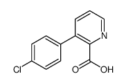 3-(4-氯苯基)吡啶甲酸图片