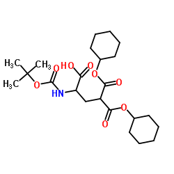 N-BOC-?,??-DICYCLOHEXYL-D,L-CARBOXYGLUTAMIC ACID picture