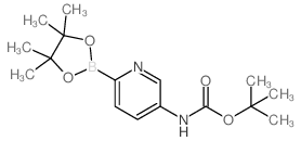 Boc-5-Aminopyridine-2-boronic acid pinacol ester结构式