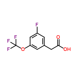 3-Fluoro-5-(trifluoromethoxy)phenylacetic acid结构式