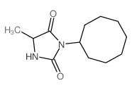 3-cyclooctyl-5-methyl-imidazolidine-2,4-dione picture