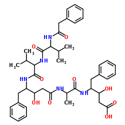 YF 044P-D Structure