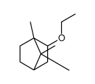 2-Ethoxy-1,7,7-trimethylbicyclo[2.2.1]heptane结构式