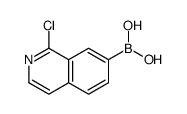 1-chloroisoquinolin-7-yl-7-boronic acid picture