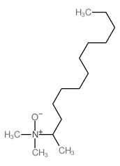 2-Tridecanamine,N,N-dimethyl-, N-oxide结构式