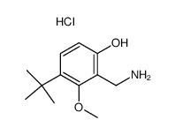 2-(aminomethyl)-4-(1,1-dimethylethyl)-3-methoxyphenol hydrochloride结构式