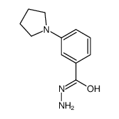 3-(1-Pyrrolidinyl)benzoic Acid Hydrazide Structure