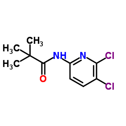 N-(5,6-Dichloro-2-pyridinyl)-2,2-dimethylpropanamide Structure