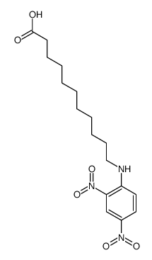 11-(2,4-dinitroanilino)undecanoic acid结构式