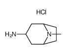 8-AZABICYCLO[3.2.1]OCTAN-3-AMINE, 8-METHYL-, HYDROCHLORIDE (1:1) Structure