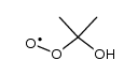 (1-hydroxy-1-methyl-ethyl)-peroxyl结构式