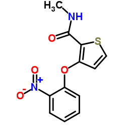 N-Methyl-3-(2-nitrophenoxy)-2-thiophenecarboxamide结构式