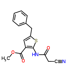 Methyl 5-benzyl-2-[(cyanoacetyl)amino]-3-thiophenecarboxylate结构式
