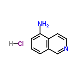 5-Isoquinolinamine hydrochloride (1:1) picture