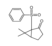 1-(benzenesulfonyl)-6,6-dimethylbicyclo[3.1.0]hexan-2-one结构式