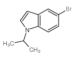 5-溴-1-异丙基-1H-吲哚图片