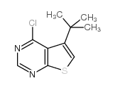 5-叔丁基-4-氯噻吩[2,3-D]嘧啶结构式