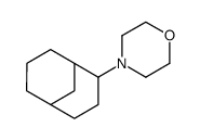 4-(4-bicyclo[3.3.1]nonanyl)morpholine结构式