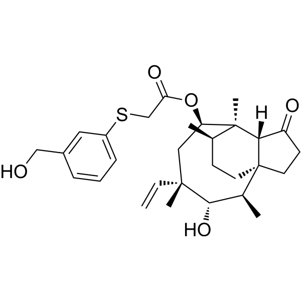 BC-7013 Structure