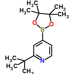 2-tert-butyl-4-(4,4,5,5-tetramethyl-1,3,2-dioxaborolan-2-yl)pyridine Structure
