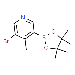 3-Bromo-4-methylpyridine-5-boronic acid pinacol ester picture