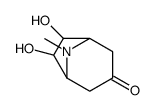 6,7-dihydroxy-8-methyl-8-azabicyclo[3.2.1]octan-3-one结构式