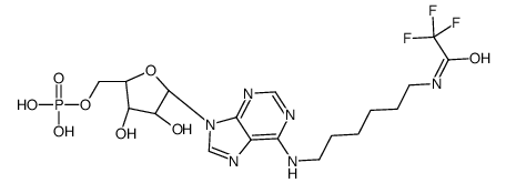 [(2R,3S,4R,5R)-3,4-dihydroxy-5-[6-[6-[(2,2,2-trifluoroacetyl)amino]hexylamino]purin-9-yl]oxolan-2-yl]methyl dihydrogen phosphate结构式