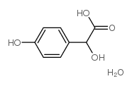 DL-4-羟基扁桃酸单水化合物图片