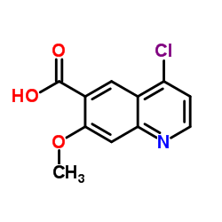 4-Chloro-7-methoxy-6-quinolinecarboxylic acid结构式