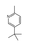 5-tert-butyl-2-methylpyridine结构式
