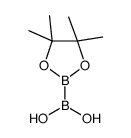 (4,4,5,5-tetramethyl-1,3,2-dioxaborolan-2-yl)boronic acid Structure