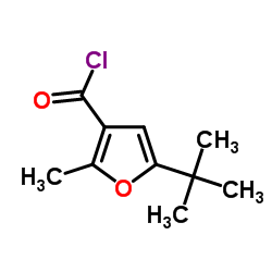 5-tert-Butyl-2-methyl-3-furoyl chloride picture
