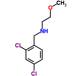 N-(2,4-Dichlorobenzyl)-2-methoxyethanamine结构式