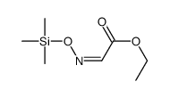 ethyl 2-trimethylsilyloxyiminoacetate结构式