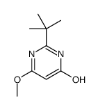 2-tert-butyl-4-methoxy-1H-pyrimidin-6-one结构式