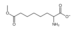 2-amino-8-methoxy-8-oxooctanoate Structure