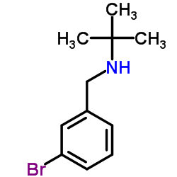N-(3-Bromobenzyl)-2-methyl-2-propanamine结构式