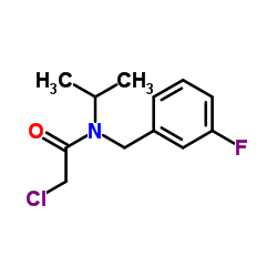 2-Chloro-N-(3-fluorobenzyl)-N-isopropylacetamide结构式