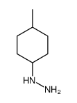(4-methylcyclohexyl)hydrazine Structure