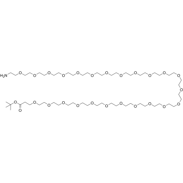 H2N-PEG24-CH2CH2COOtBu Structure
