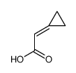 2-环丙基亚甲基乙酸图片