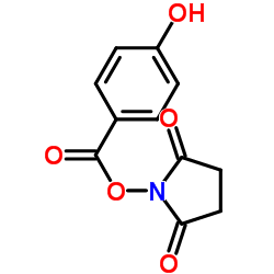 2,5-二氧代吡咯烷-1-基4-羟基苯甲酸酯结构式