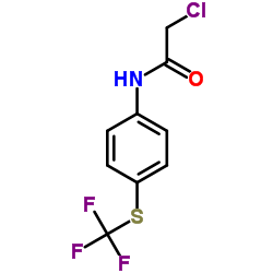 2-CHLORO-N-(4-(TRIFLUOROMETHYLTHIO)PHENYL)ETHANAMIDE Structure