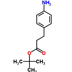 2-Methyl-2-propanyl 3-(4-aminophenyl)propanoate structure